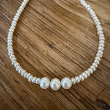 Freshwater Button Seed Pearl Choker